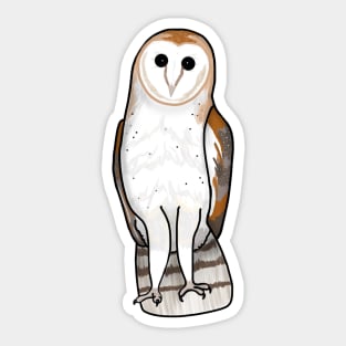 Beautiful Barn Owl (Large Print) Sticker
